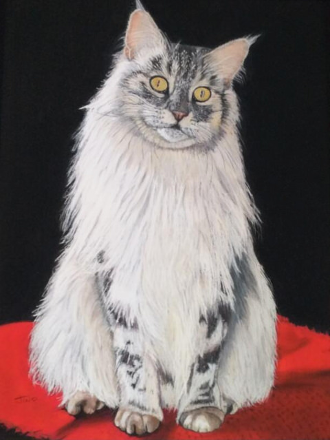 dessin pastel d'une chatte nommée Daisy